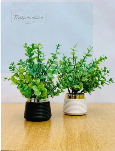 🌿 Artificial Wild Plant with Black / White Pot: Washable and Perfect for Home and Office Decoration! 🏠💼